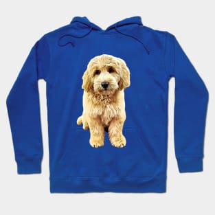 Goldendoodle Cute Puppy Eyes! Hoodie